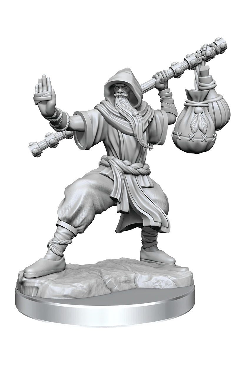 Dungeons & Dragons Frameworks: Human Monk Male - Dungeons & Dragons