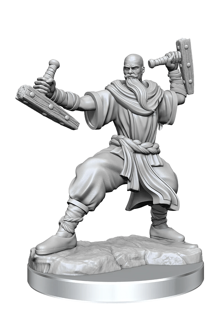 Dungeons & Dragons Frameworks: Human Monk Male - Dungeons & Dragons