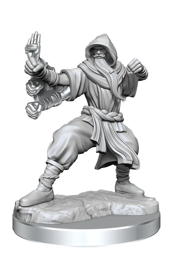 Dungeons & Dragons Frameworks: Human Monk Male - Dungeons & Dragons