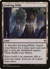 Image for Evolving Wilds (Duel Decks: Zendikar vs. Eldrazi) (31) - Magic: The Gathering