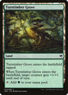 Image for Turntimber Grove (Duel Decks: Zendikar vs. Eldrazi) (34) - Magic: The Gathering