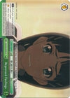 Image for Repressed Feelings (Sword Art Online) (SAO/S20-E045 CC) - Weiss Schwarz