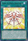 Image for Rank-Up-Magic Raid Force (Dimension of Chaos) (DOCS-EN054) - YuGiOh