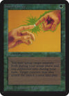 Image for Instill Energy (Alpha Edition) - Magic: The Gathering