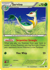 Image for Servine (XY - Fates Collide) (6/124) - Pokemon