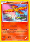 Image for Moltres - XY127 (Prerelease) [Staff] (XY Promos) (XY127) - Pokemon