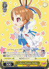 Image for Like a Picnic, Sicily (Disgaea) (DG/EN-S03-E022 C) - Weiss Schwarz