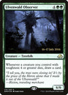 Image for Ulvenwald Observer (Prerelease Cards) (176) - Magic: The Gathering