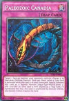 Image for Paleozoic Canadia (The Dark Illusion) (TDIL-EN097) - YuGiOh