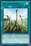Image for Dragon Shrine (Duelist Pack: Rivals of the Pharaoh) (DPRP-EN029) - YuGiOh