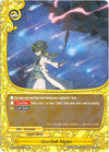 Image for Starfall Night (Annihilate! Great Demonic Dragon!!) (D-BT03/0037EN) - Future Card BuddyFight