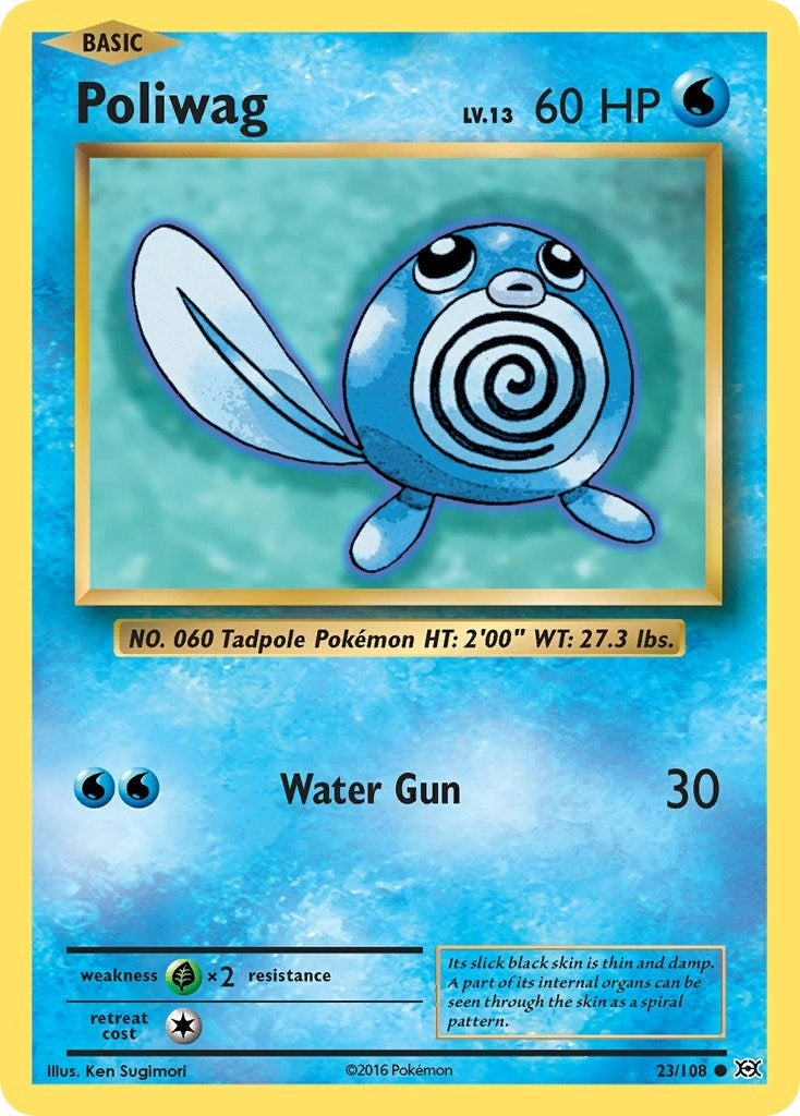 Image for Poliwag (XY - Evolutions) (23/108) - Pokemon