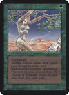 Image for Shanodin Dryads (Alpha Edition) - Magic: The Gathering