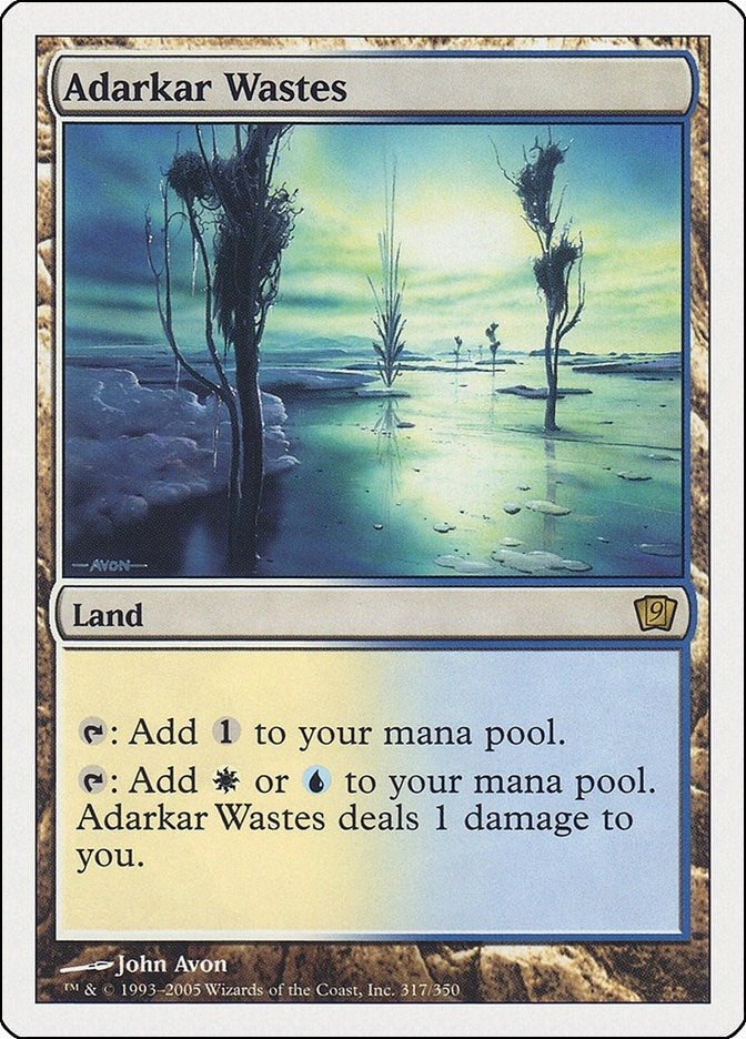 Image for Adarkar Wastes (9th Edition) (317) - Magic: The Gathering