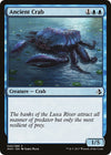 Image for Ancient Crab (Amonkhet) (40) - Magic: The Gathering