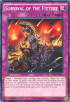 Image for Survival of the Fittest (Structure Deck: Dinosmasher's Fury) (SR04-EN031) - YuGiOh