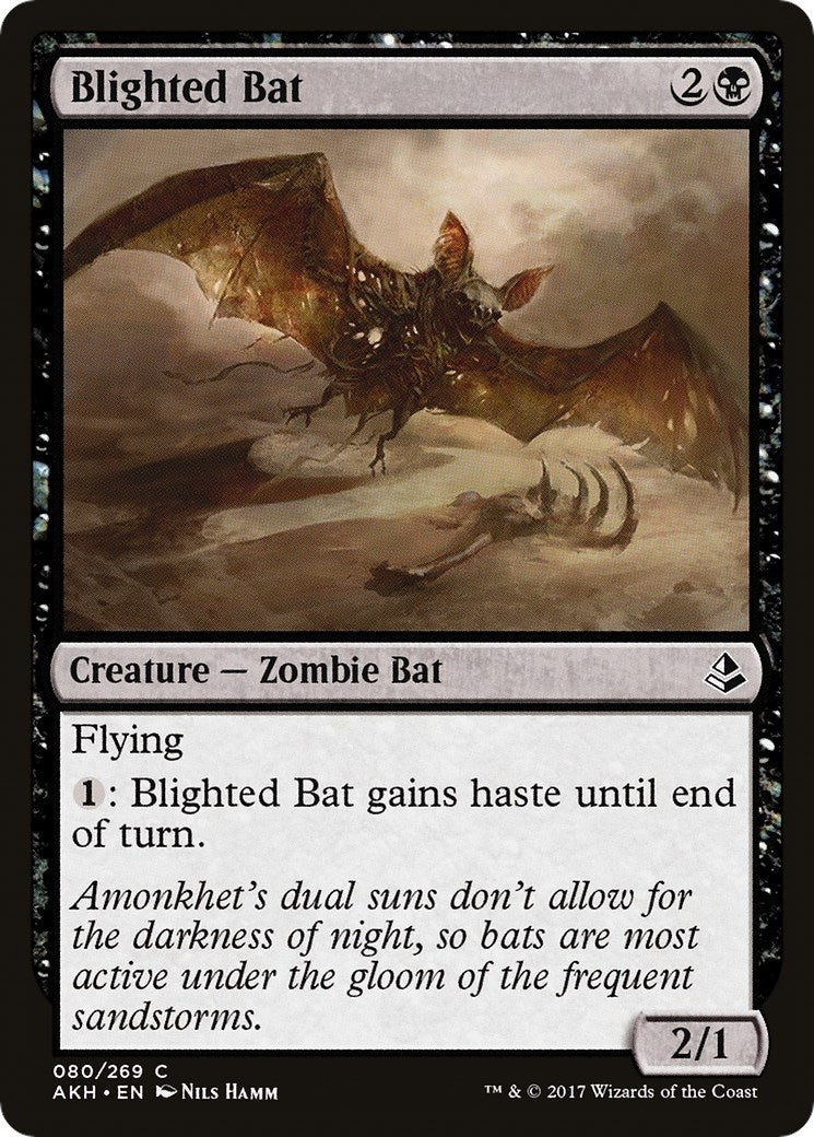 Image for Blighted Bat (Amonkhet) (80) - Magic: The Gathering