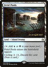 Image for Fetid Pools (Prerelease Cards) (243) - Magic: The Gathering