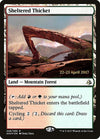 Image for Sheltered Thicket (Prerelease Cards) (248) - Magic: The Gathering