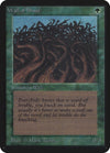 Image for Wall of Wood (Alpha Edition) - Magic: The Gathering