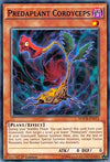 Image for Predaplant Cordyceps (Maximum Crisis) (MACR-EN011) - YuGiOh