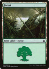 Image for Forest (315) (Commander Anthology) (315) - Magic: The Gathering