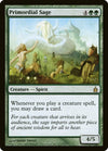 Image for Primordial Sage (Ravnica: City of Guilds) (177) - Magic: The Gathering
