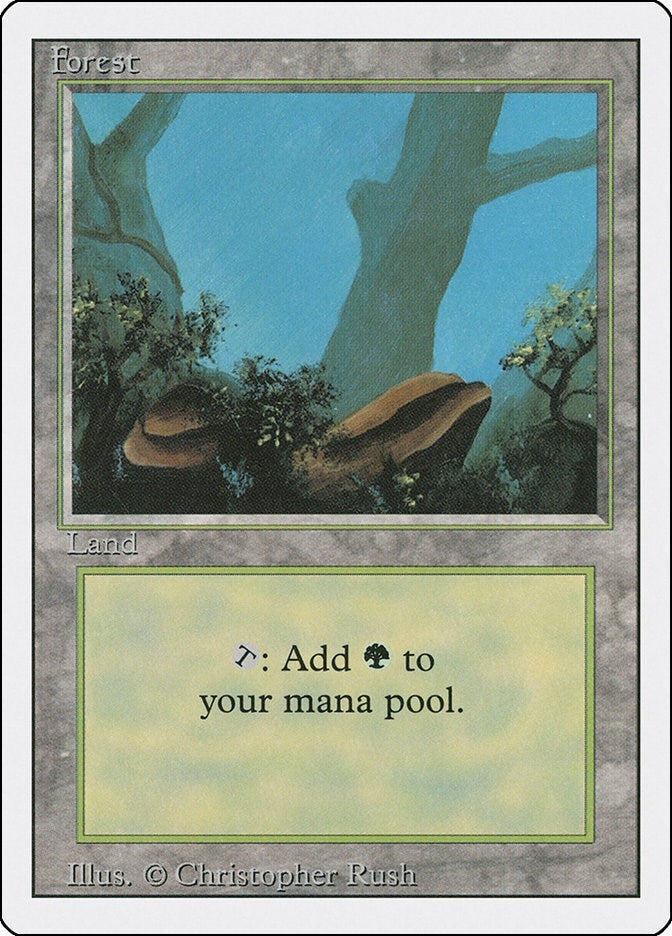 Image for Forest (A) (Revised Edition) (284) - Magic: The Gathering