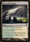Image for Saltcrusted Steppe (Time Spiral) (277) - Magic: The Gathering