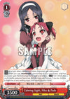 Image for Calming Sight, Niko & Pado (Accel World -Infinite Burst-) (AW/S43-E058 R) - Weiss Schwarz
