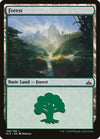 Image for Forest (Rivals of Ixalan) (196) - Magic: The Gathering