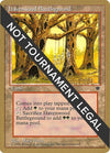Image for Havenwood Battleground - 1996 Preston Poulter (FEM) (World Championship Decks) - Magic: The Gathering