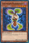 Image for Evilswarm Mandragora (Starter Deck: Codebreaker) (YS18-EN016) - YuGiOh