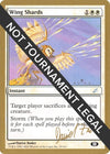Image for Wing Shards - 2003 Daniel Zink (SCG) (SB) (World Championship Decks) - Magic: The Gathering
