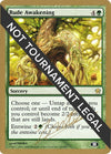 Image for Rude Awakening - 2004 Julien Nuijten (5DN) (SB) (World Championship Decks) - Magic: The Gathering