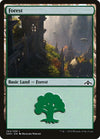Image for Forest (Guilds of Ravnica) (264) - Magic: The Gathering