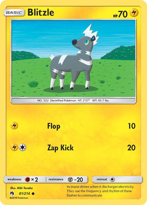 Image for Blitzle (SM - Lost Thunder) (81/214) - Pokemon