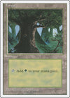 Image for Forest (C) (Fourth Edition) (176) - Magic: The Gathering