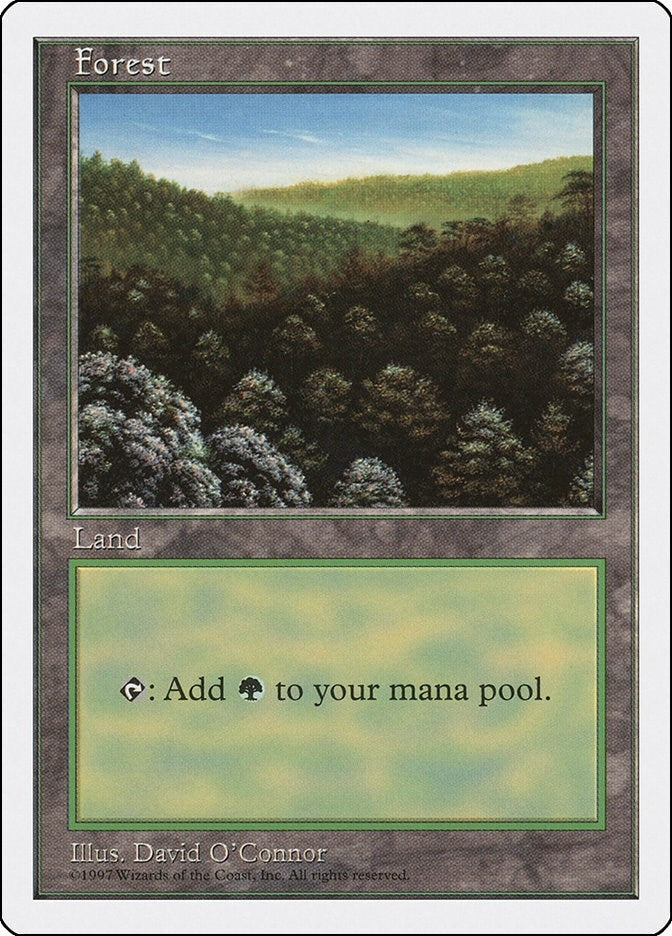 Image for Forest (446) (Fifth Edition) (446) - Magic: The Gathering