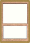 Image for 1998 World Championship Blank Card (World Championship Decks) - Magic: The Gathering