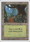 Image for Forest (B) (Unlimited Edition) - Magic: The Gathering