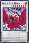 Image for Black Rose Dragon (Legendary Duelists: Sisters of the Rose) (LED4-EN028) - YuGiOh