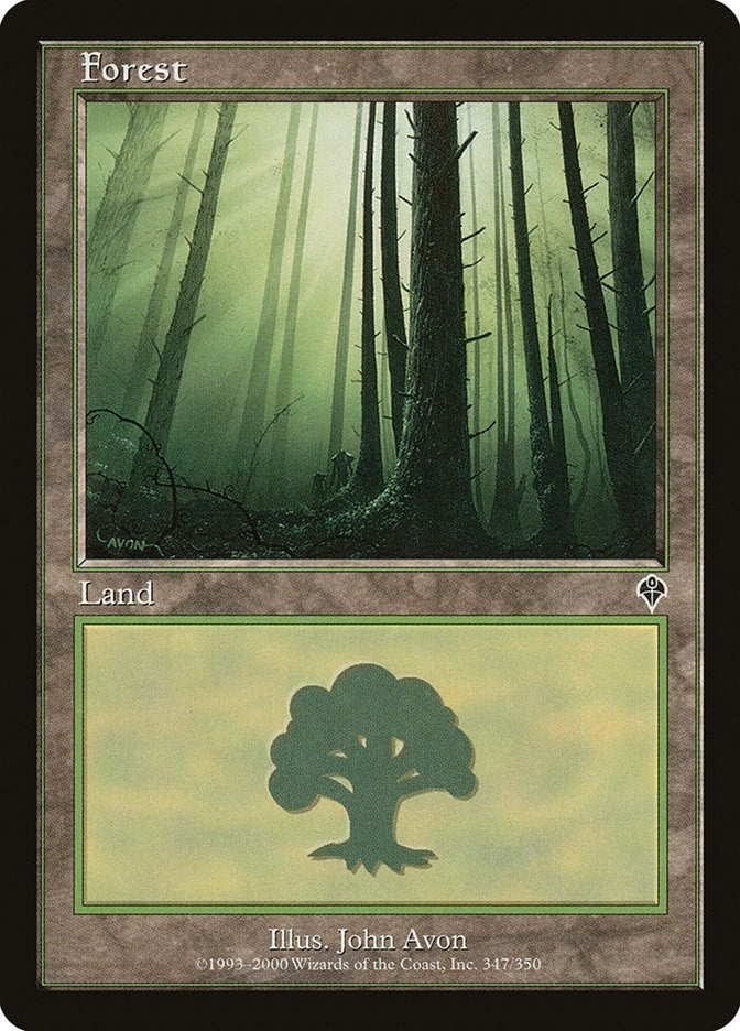 Image for Forest (347) (Invasion) (347) - Magic: The Gathering