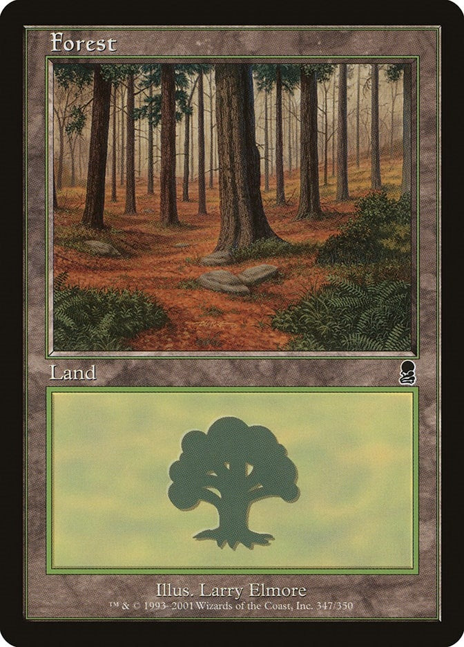 Image for Forest (347) (Odyssey) (347) - Magic: The Gathering