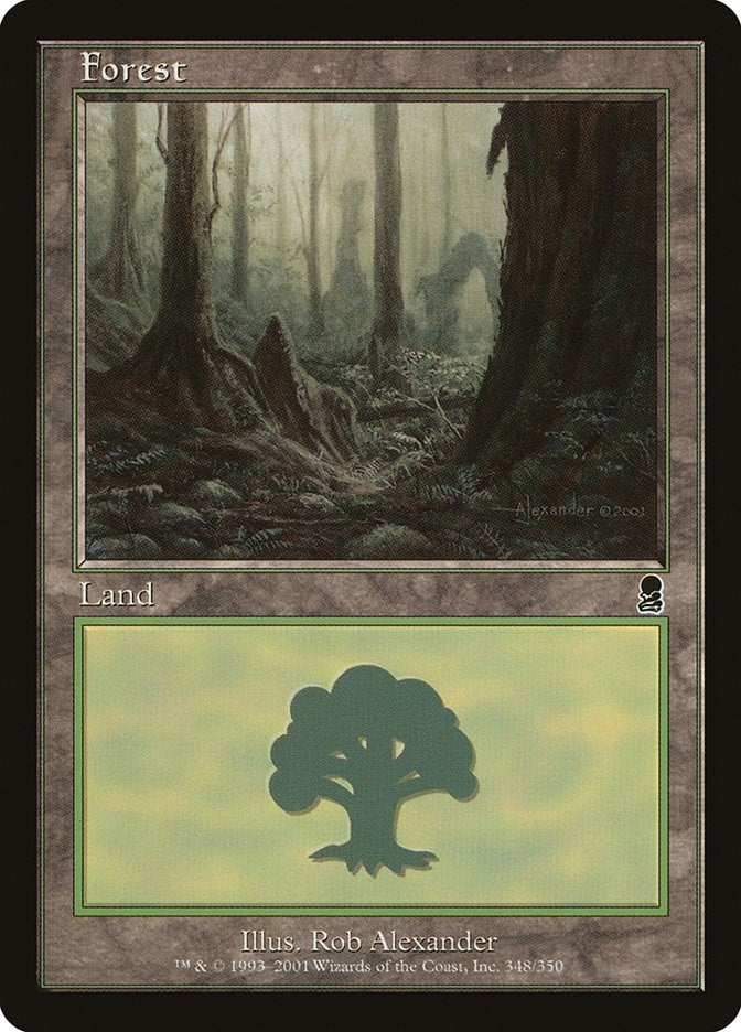 Image for Forest (348) (Odyssey) (348) - Magic: The Gathering