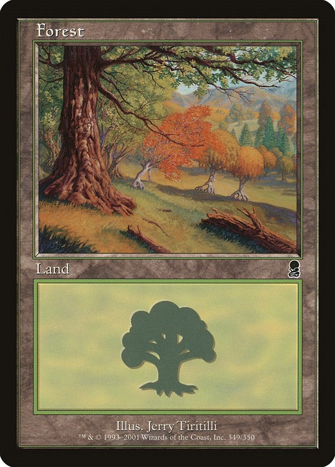 Image for Forest (349) (Odyssey) (349) - Magic: The Gathering