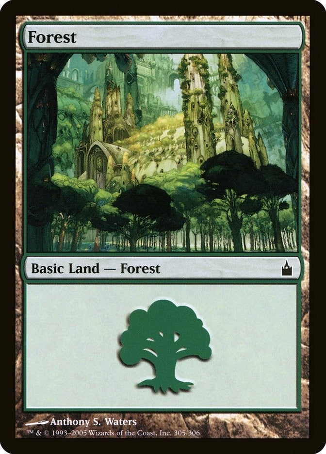 Image for Forest (305) (Ravnica: City of Guilds) (305) - Magic: The Gathering
