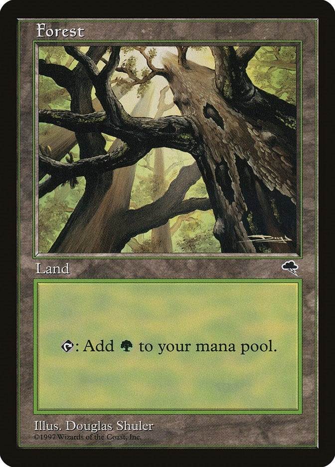 Image for Forest (Skyward) (Tempest) (347) - Magic: The Gathering