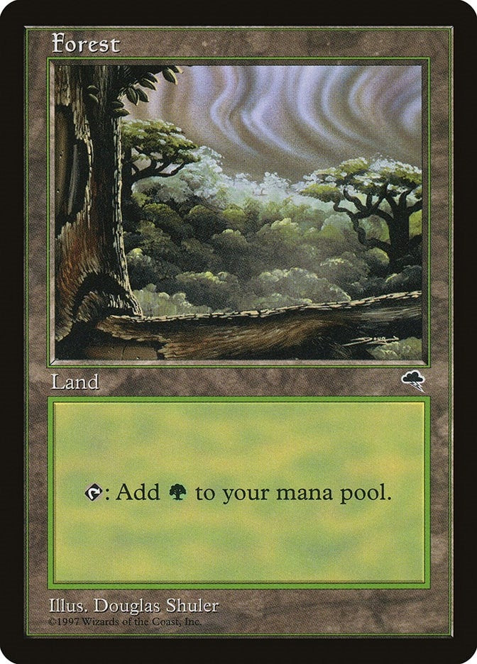 Image for Forest (Cloudy) (Tempest) (349) - Magic: The Gathering