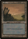 Image for Swamp (Vertical Log) (Tempest) (339) - Magic: The Gathering